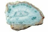 Slice Of Larimar Replaced Wood Limb Cast #243248-1